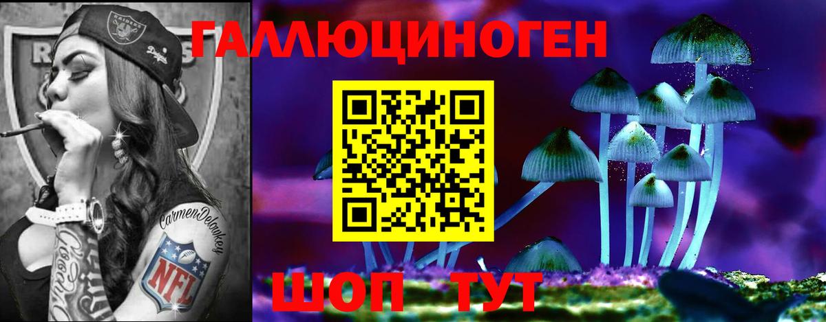 Галлюциногенные грибы MAGIC MUSHROOMS Кинешма